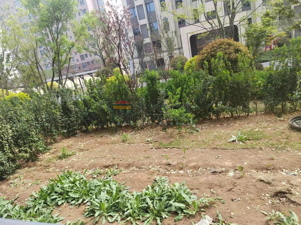 图片描述...