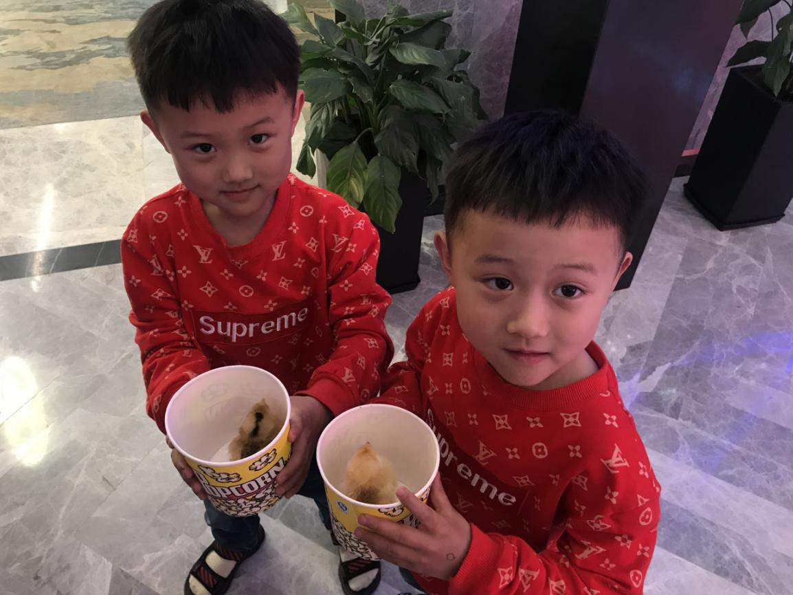 图片8.jpg