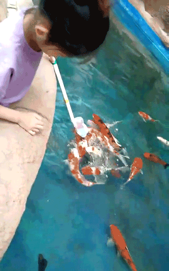 微信图片_20190424230630.gif