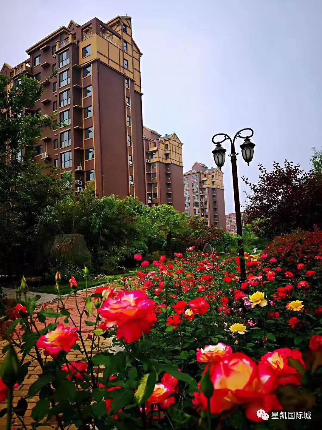 微信图片_20190424230644.jpg