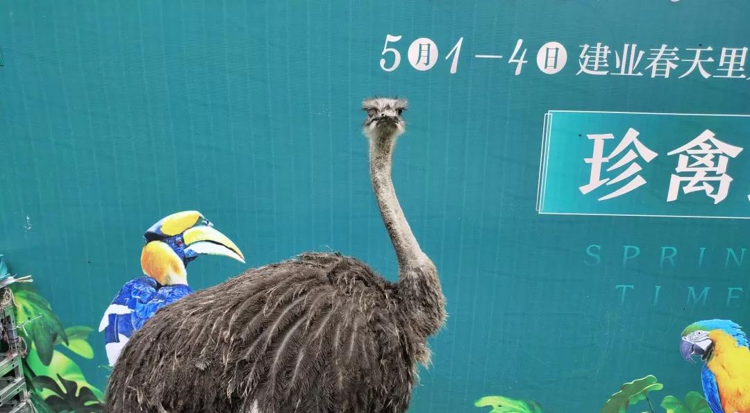微信图片_20190505110054.jpg