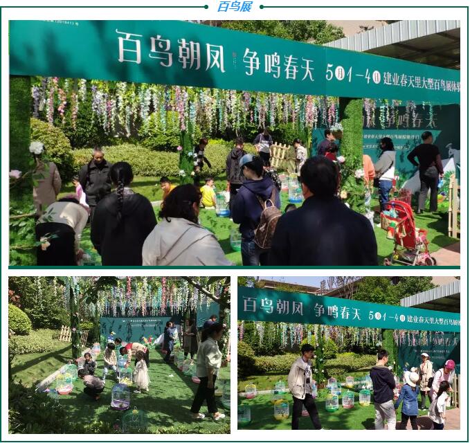 QQ截图20190505105400.jpg