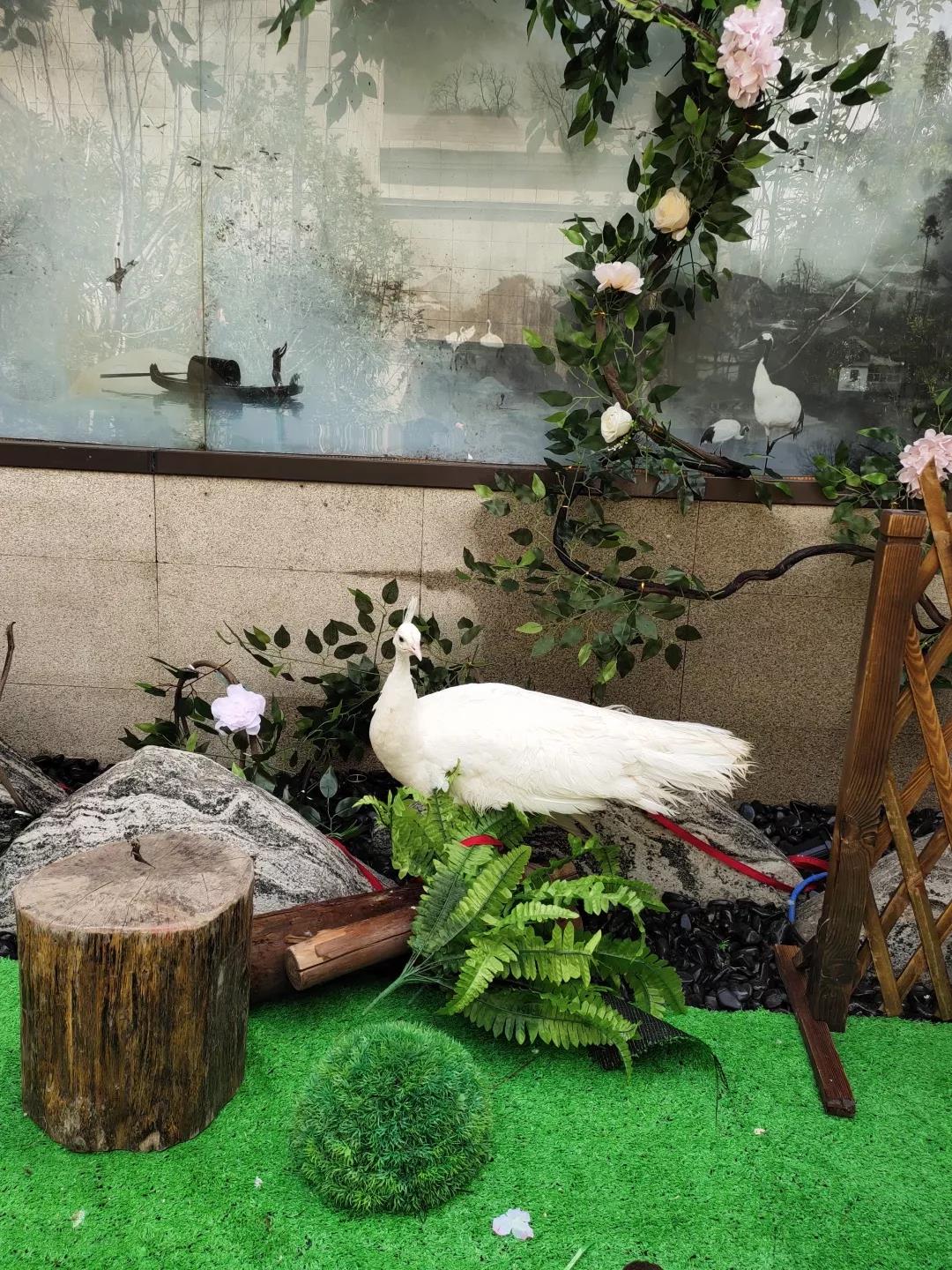 微信图片_20190505105412.jpg