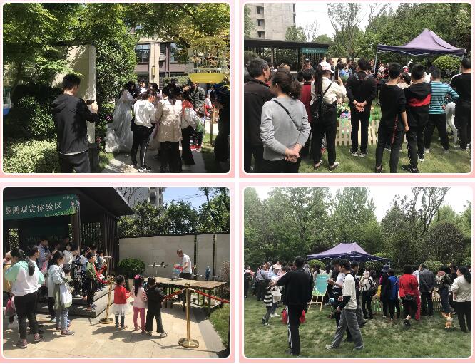 QQ截图20190505105341.jpg
