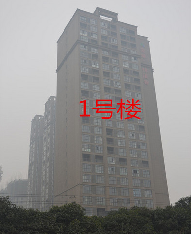 常绿·林溪谷工程进度
