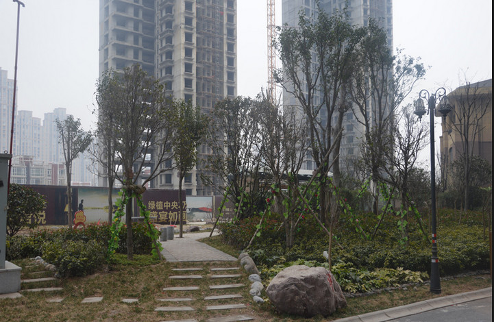 常绿·林溪谷小区实景