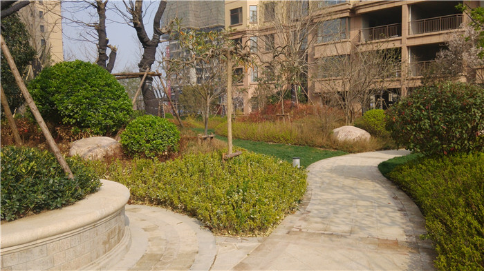 百大嘉苑小区景观图