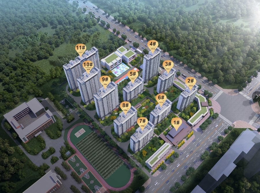 鸟瞰图