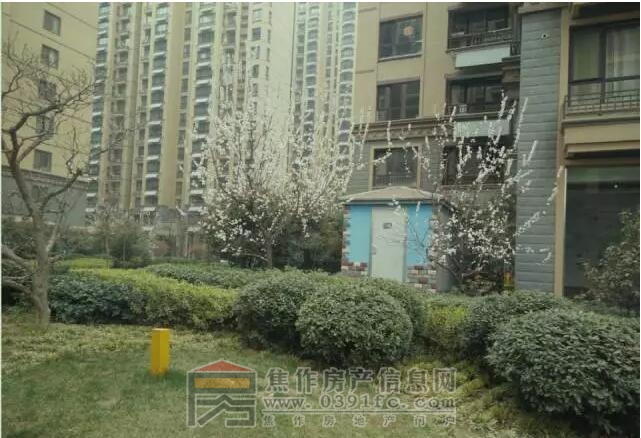 QQ截图20170316103559.jpg