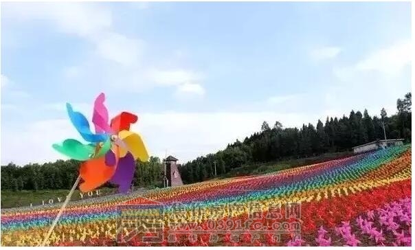 QQ截图20170310082005.jpg