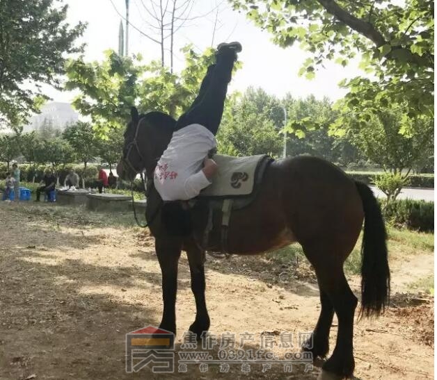 QQ截图20170522163741.jpg