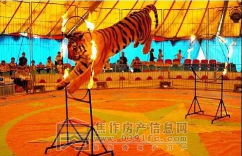 微信图片_20190108085657.jpg