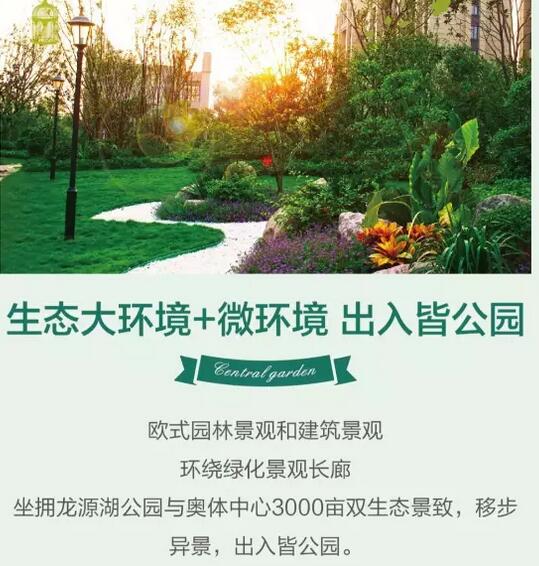 QQ截图20170408081958.jpg