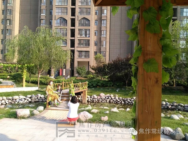 图片14_副本.jpg