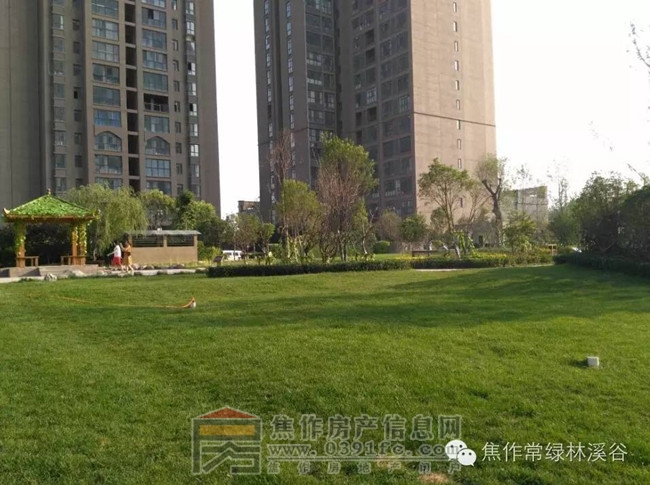 图片6_副本.jpg