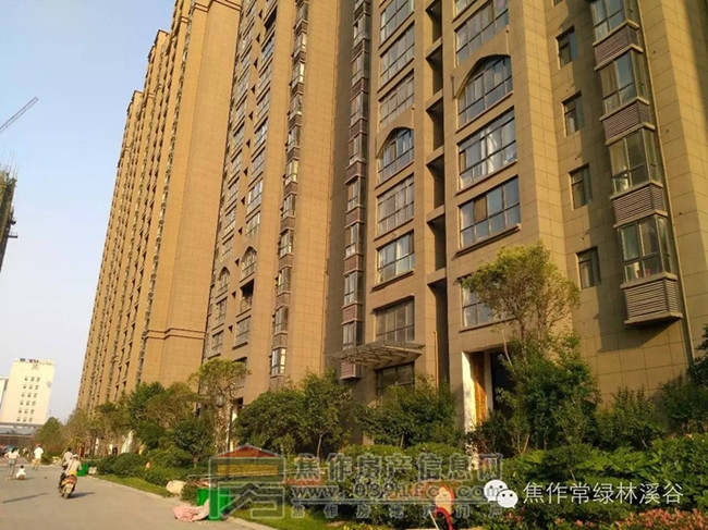 图片12_副本.jpg