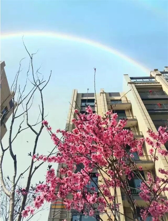 QQ截图20170401142643.jpg