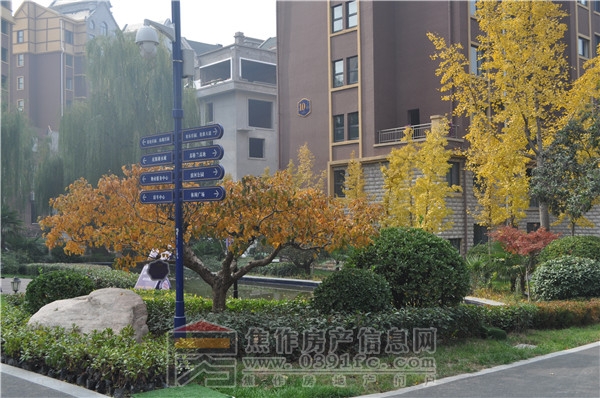 DSC_0059.JPG
