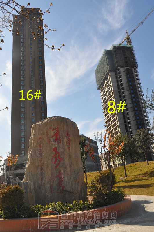 DSC_0232_副本.jpg