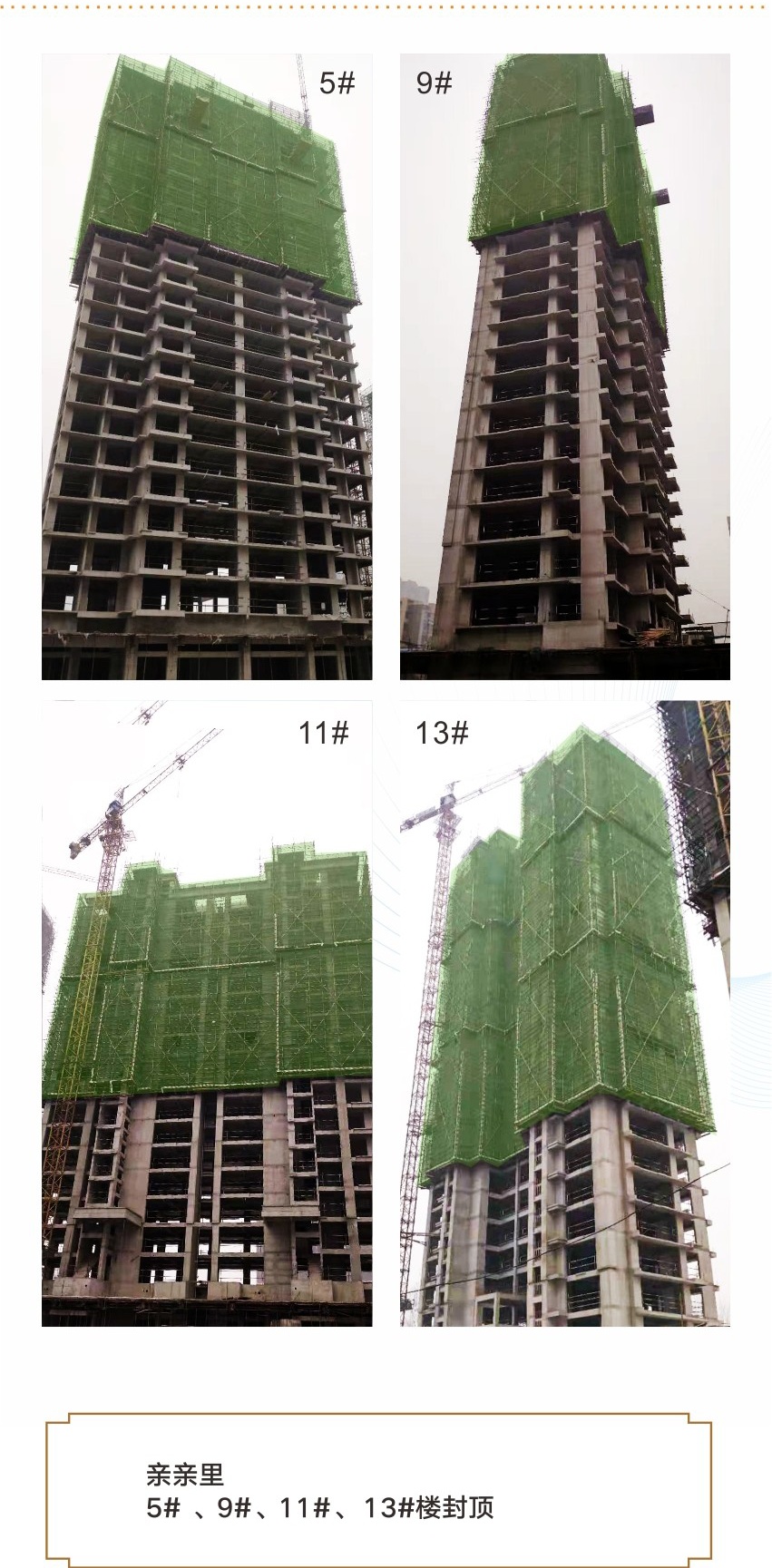 微信图片_20190226151522_看图王(2).jpg