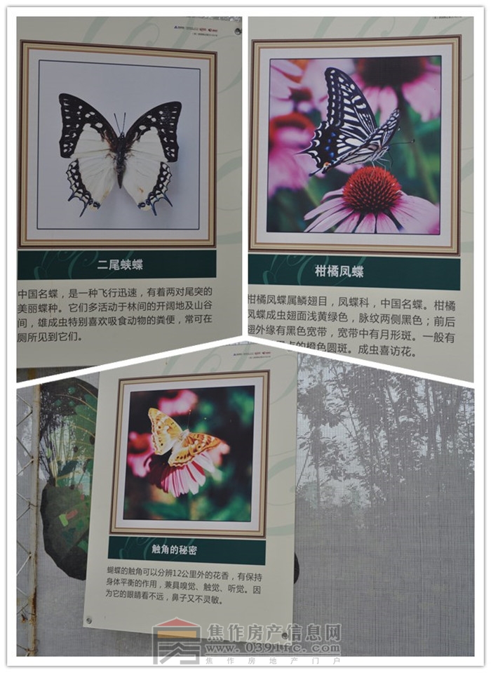 initpintu_副本.jpg