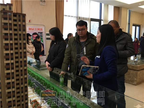 QQ图片20170102084521.jpg