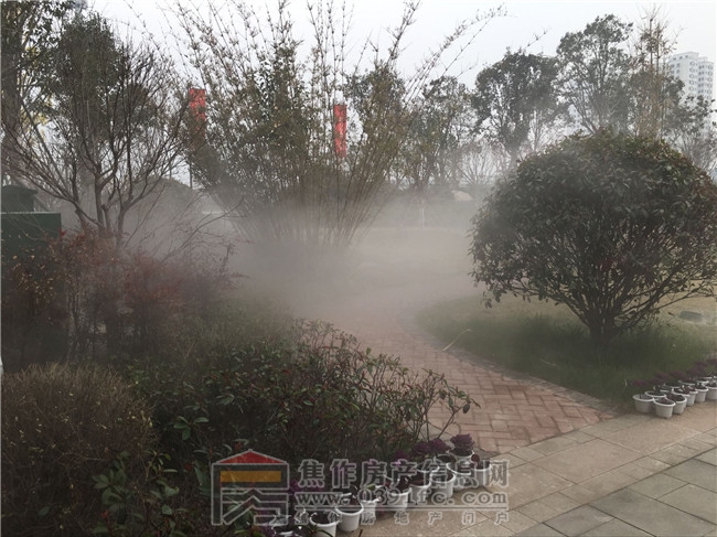 QQ图片20170305085900.jpg