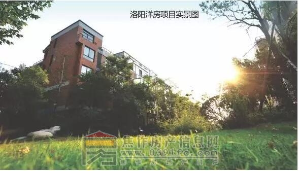 QQ截图20170419104924.jpg
