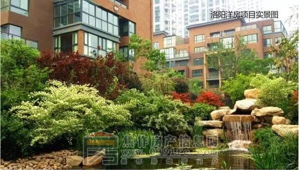 QQ截图20170419104916.jpg