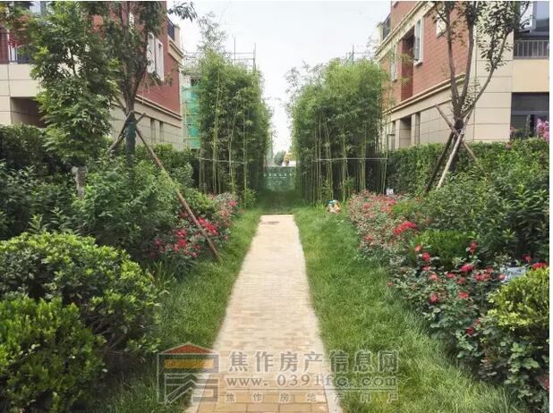 QQ截图20170726114700.jpg