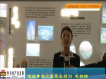 2018 母亲节·“魅力置业顾问” 建业·春天里 毛娜娜