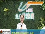 2018 母亲节“魅力置业顾问”碧桂园 王静