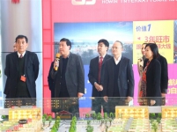 3月8日马村区人大视察鸿运国际商城项目