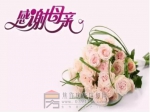 感恩母亲节，相聚星凯国际城，领取幸福康乃馨！