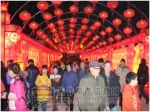 不欢不闹不“元宵”！鸿运元宵主题活动人气爆棚！