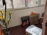 光亚小区4楼 4室02厅 125平㎡配合贷款