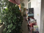 富元小区6楼，3室二厅二卫， 3室2厅 149㎡