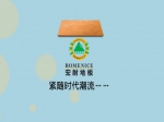 宏耐地板   紧随时尚潮流