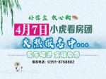 小虎看房团“五盘连看” 今日下午（7日）准时起航