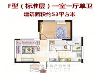 一室一厅单卫53平方