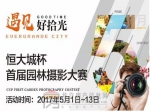 恒大城杯园林摄影大赛正式启动！