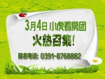 约‘惠’春天-3月4日小虎看房团火热报名中！