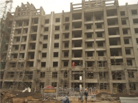 建业·公园里2015年11月工程进度