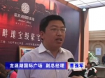 2011房博会龙源湖国际广场曹总专访