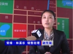 2011房博会常绿·林溪谷销售经理胡总专访