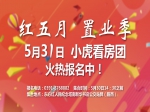 焦作房价是涨是落，5月31日跟小虎一探虚实