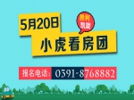 激情5月  小虎看房团143期完美落幕现场认筹1组