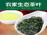 茶王来焦作了...茶中有我，我中有茶