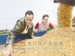 加快建设“四个焦作” 早日跻身全省“第一方阵” 让焦作在中原崛起中更加出彩