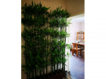 景苑小区 3室2厅 ㎡装修精，朝阳采光好，家具齐全